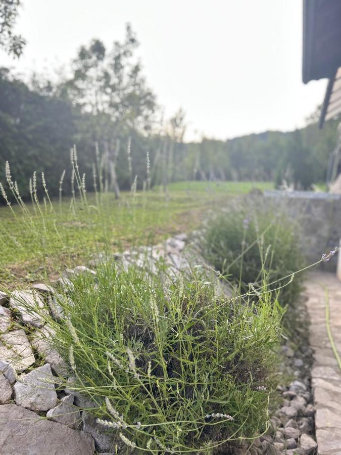 Markovi Konaci Villa *